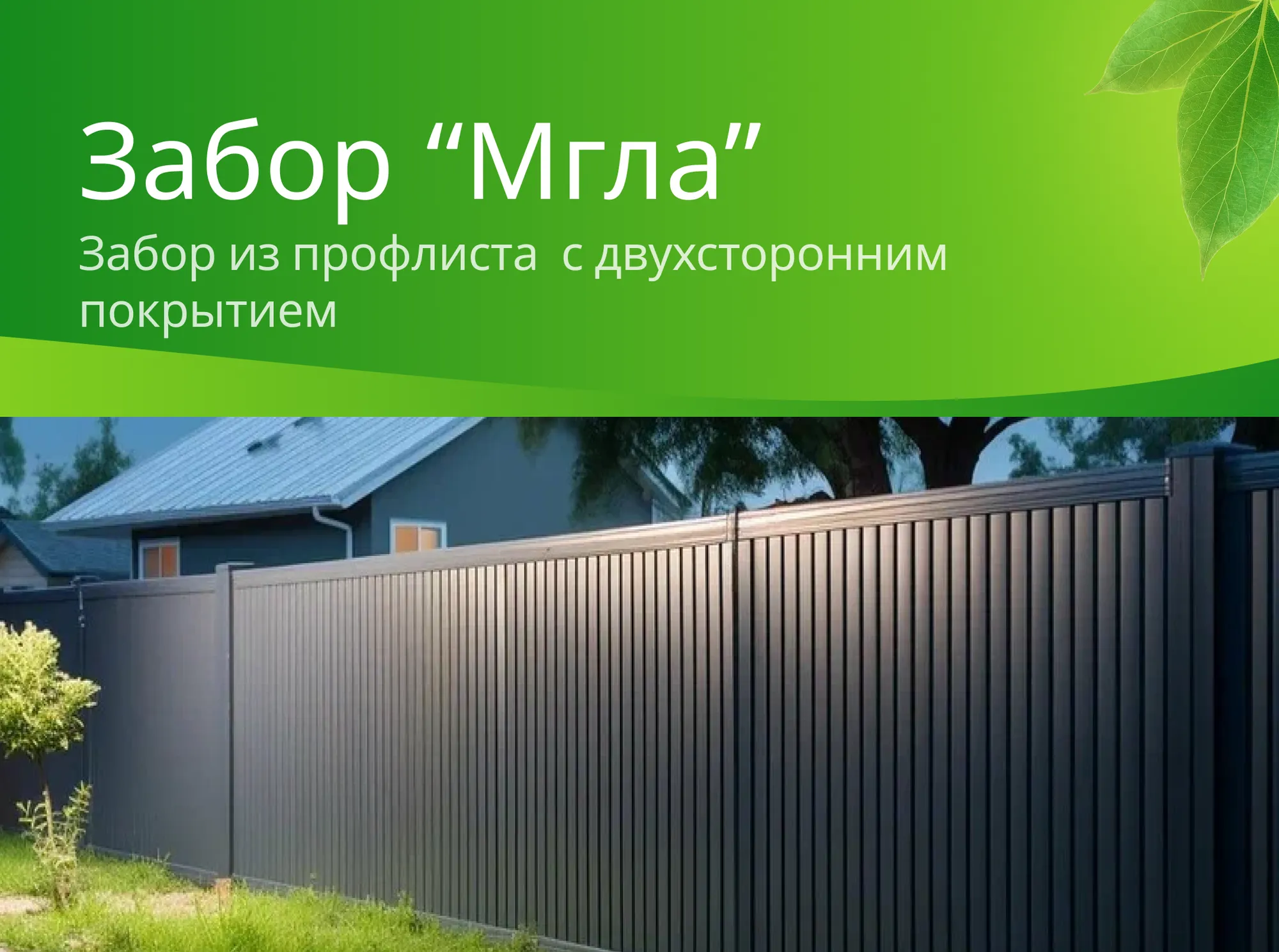 Проект "Мгла"