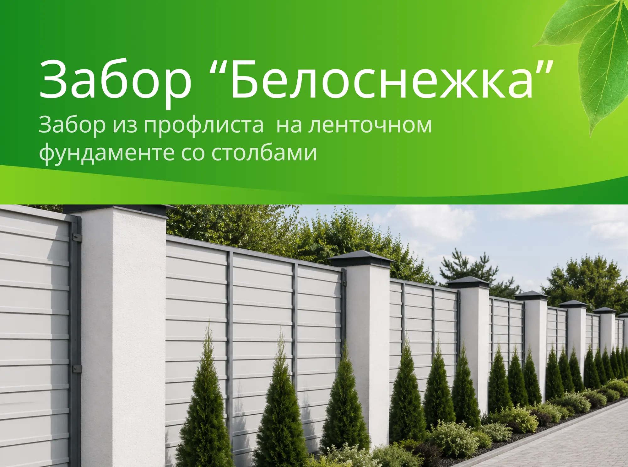 Проект "Белоснежка"