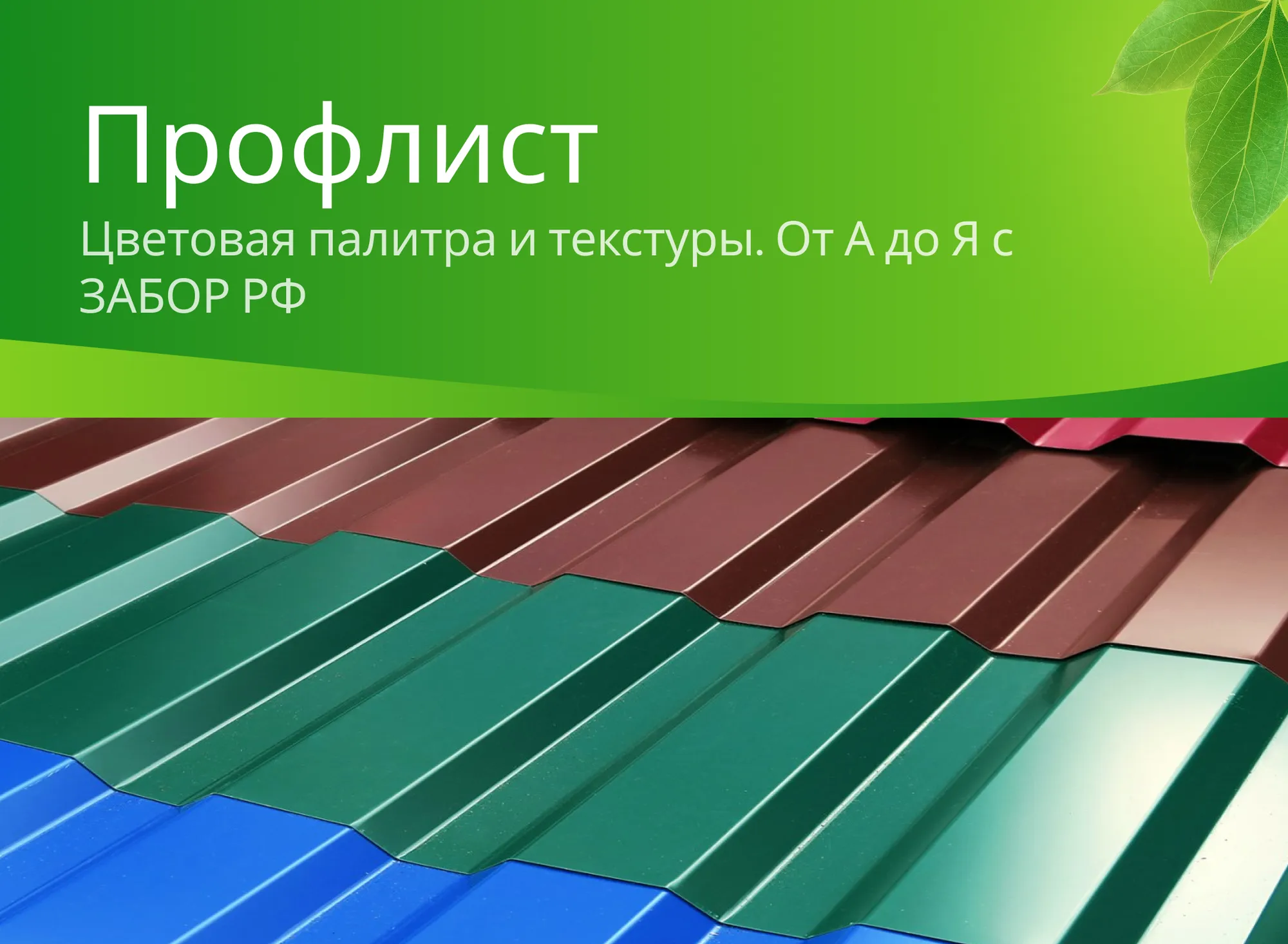 Каких цветов бывает профлист для забора: гид по палитре RAL и текстурам