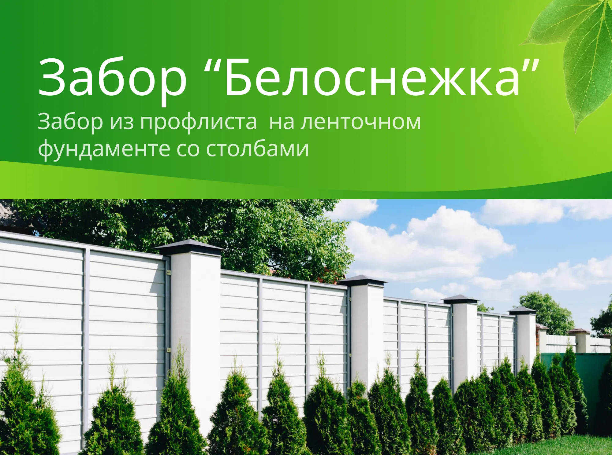Проект "Белоснежка"