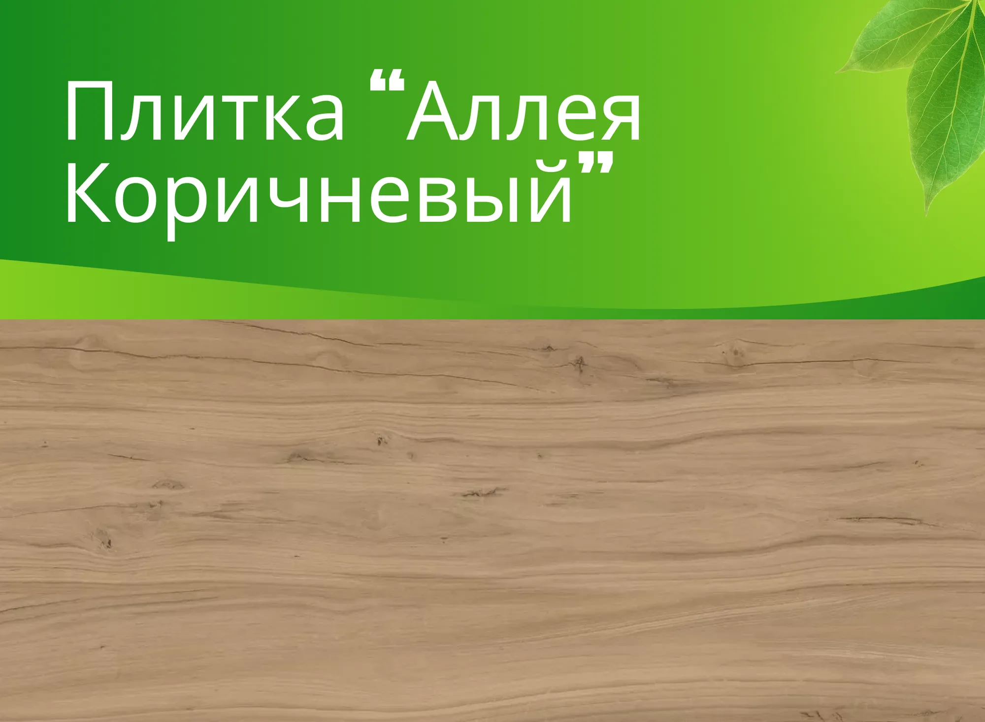 Керамогранит Аллея коричневый (Alleya Brown) K-2102/SR (600x1200)